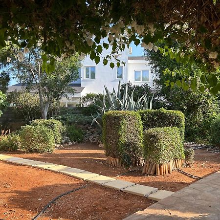 Konnos Villa โปรทาราส ภายนอก รูปภาพ