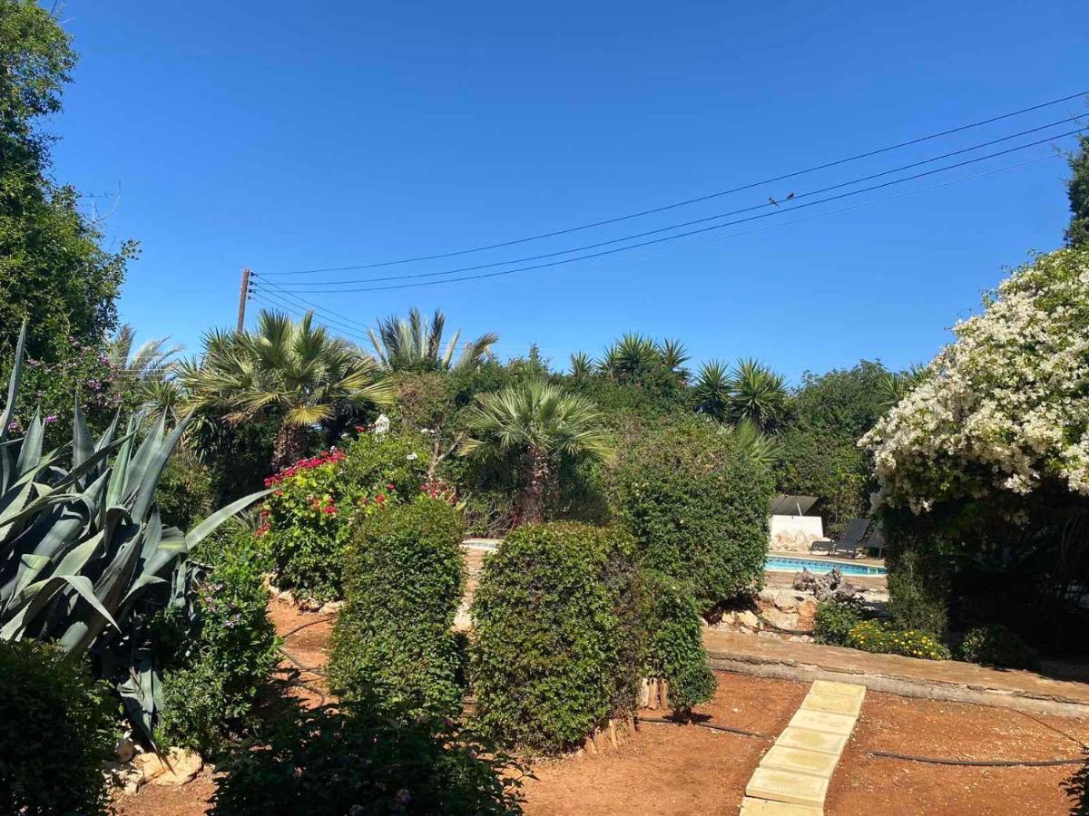 Konnos Villa โปรทาราส ภายนอก รูปภาพ